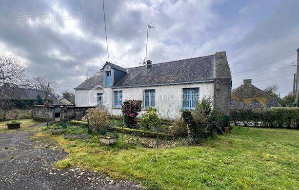 Terrain à NOYAL-MUZILLAC