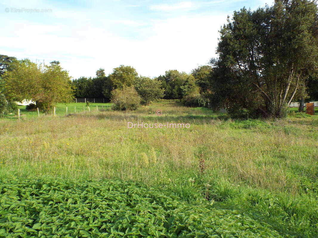 Terrain à BOIS