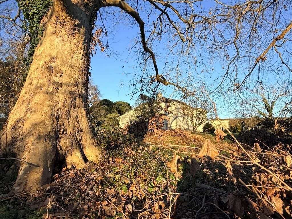 Maison à CIVRAC-DE-BLAYE