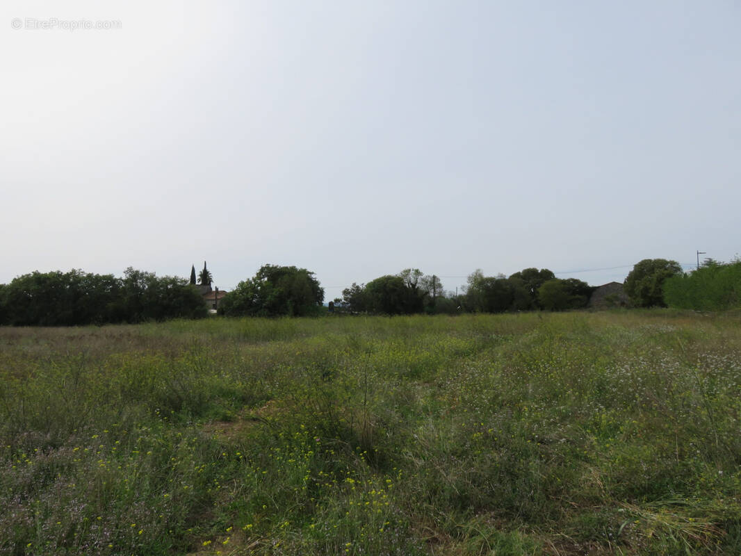 Maison à GARRIGUES-SAINTE-EULALIE