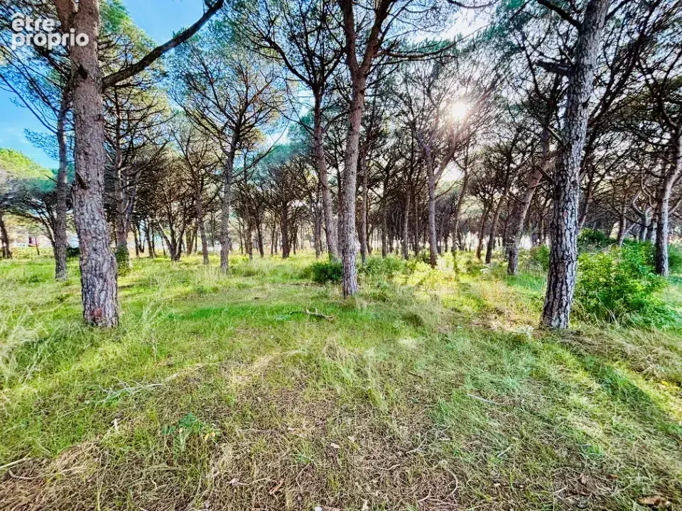 Terrain 705 m² à vendre à Carqueiranne (83320) - photo 3