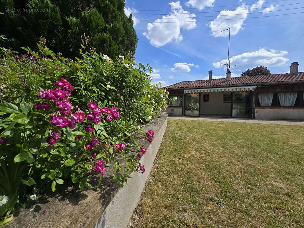 Maison à SAINT-JEAN-DE-LA-RUELLE