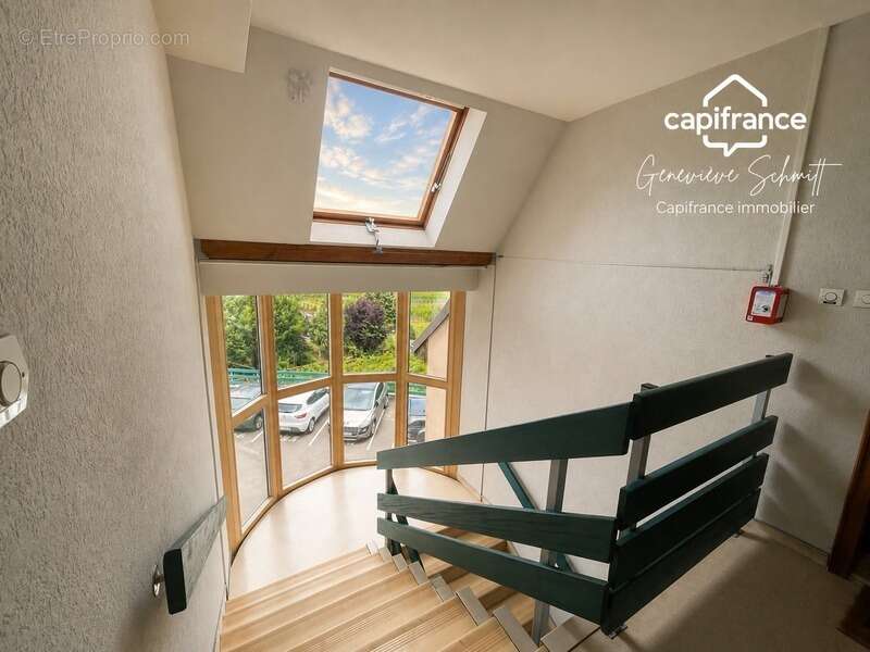 Appartement à RIBEAUVILLE