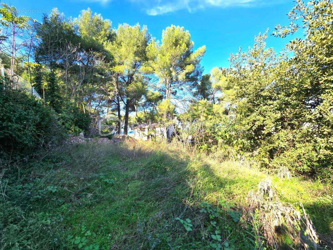 Terrain à SETE