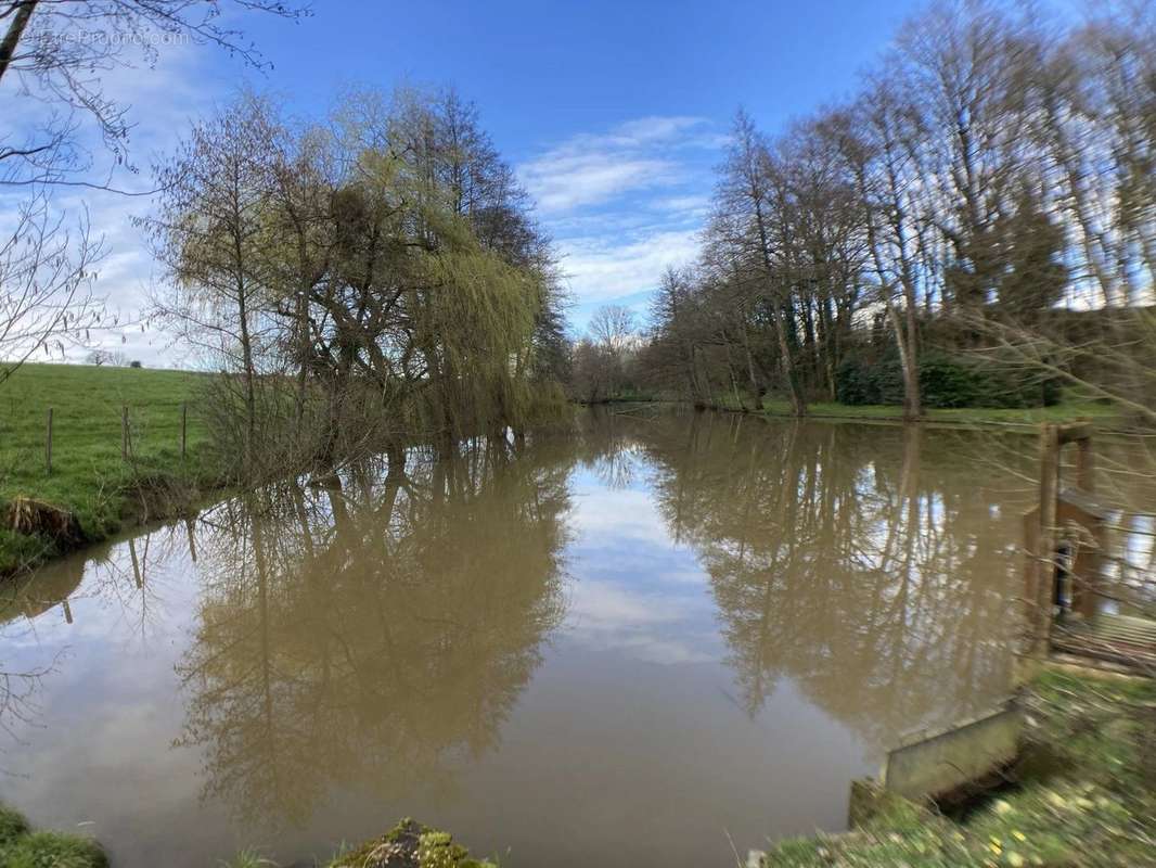Terrain à FORGES-LA-FORET