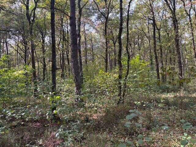 Terrain à VILLEFRANCHE-SUR-CHER