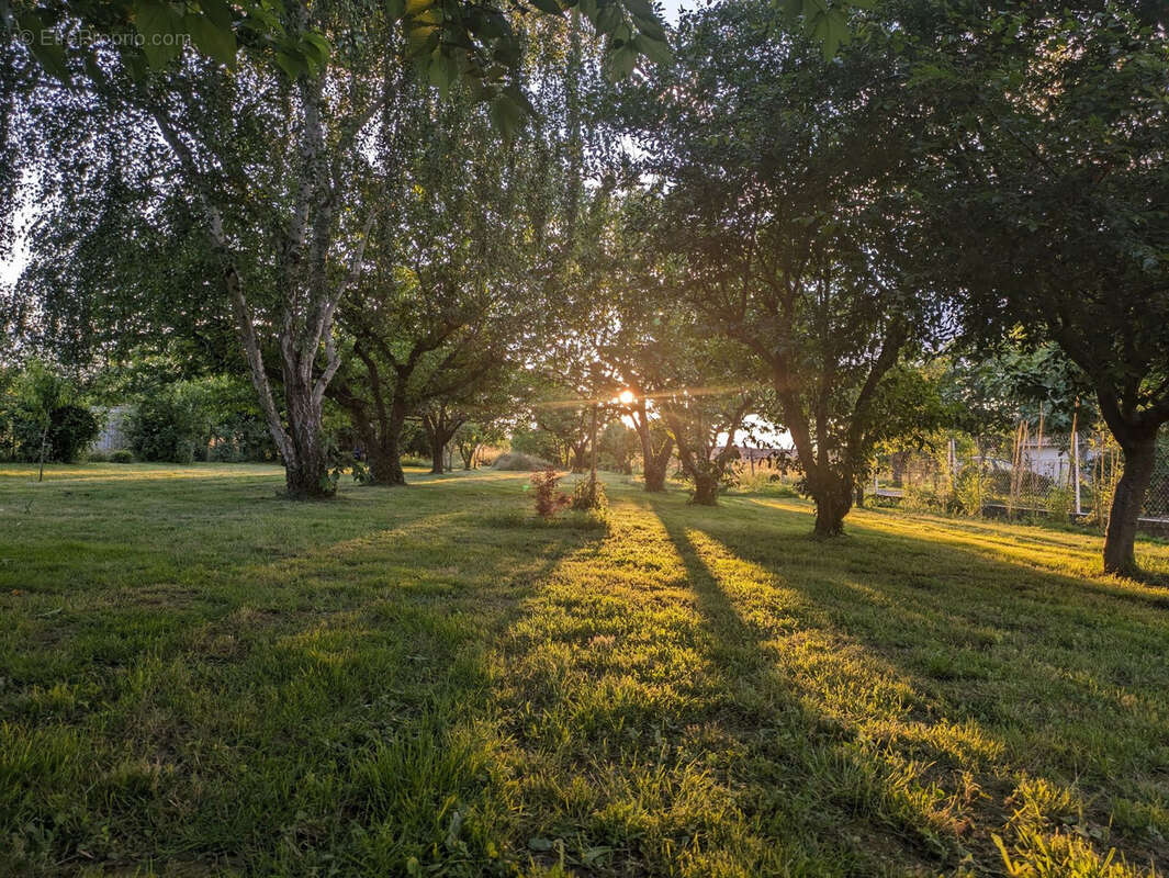 Terrain à ESTILLAC