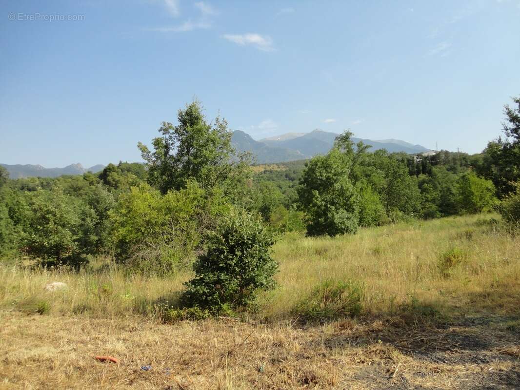 Dpt Pyrénées Orientales (66), à vendre PRADES Terrain constructible 421 m², 3 faces, libre constructeur - photo 15