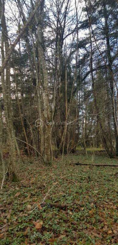 Terrain à SAINT-LEON-SUR-L&#039;ISLE