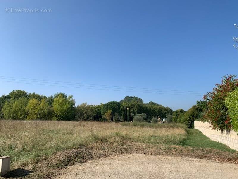 Terrain à SERVIERS-ET-LABAUME