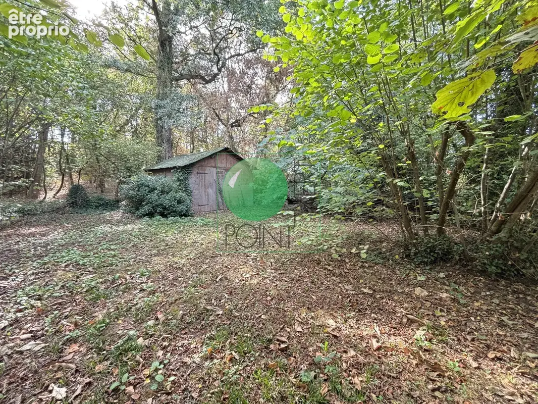 Vert-le-grand - photo 17