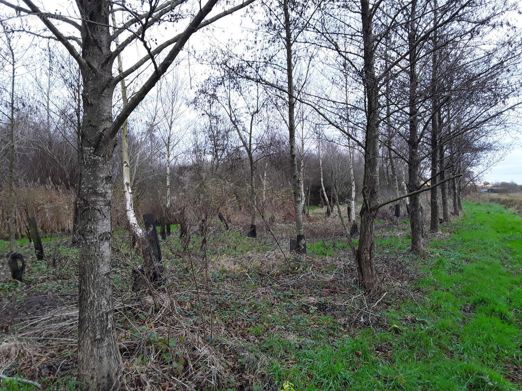 Terrain à MERLIMONT