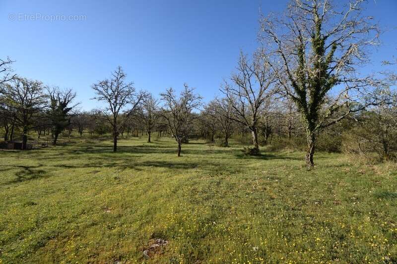 Propriete à vendre 8 pièces CREGOLS (46) - photo 44
