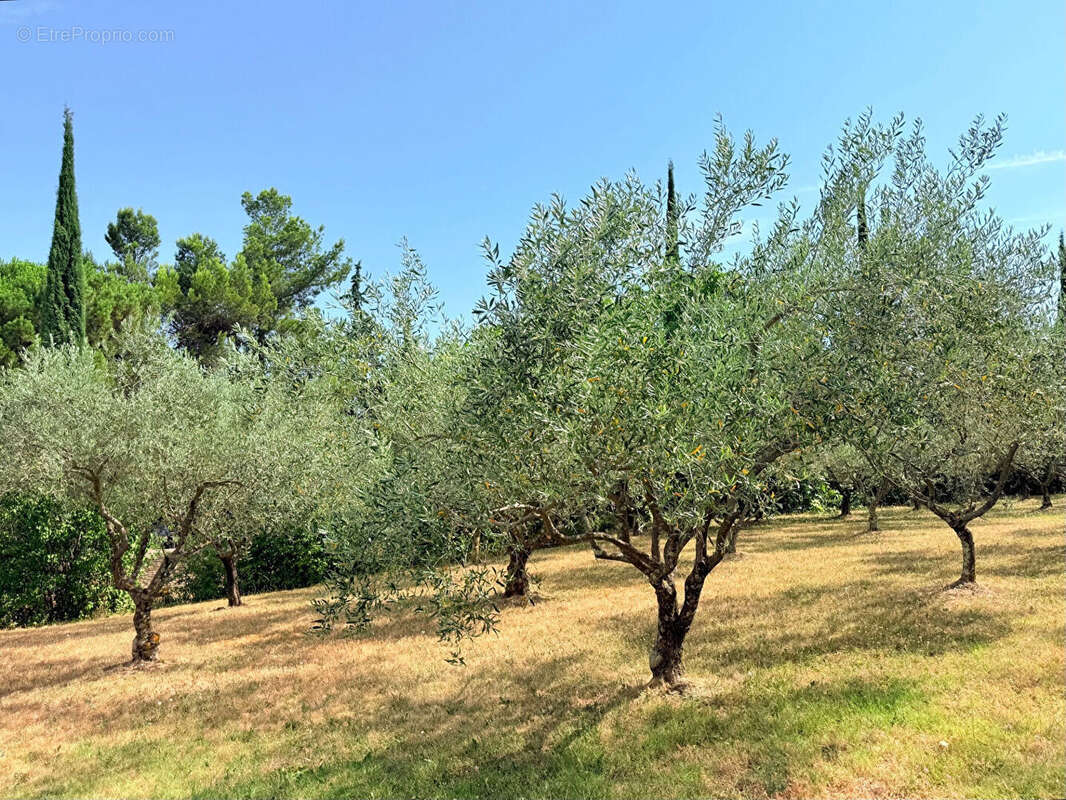 Maison à VAISON-LA-ROMAINE