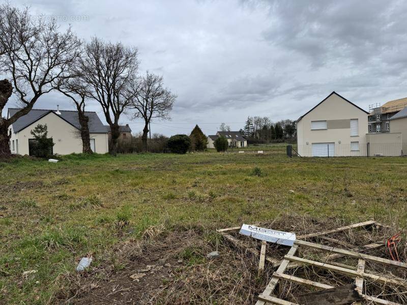 Terrain à BAIN-DE-BRETAGNE