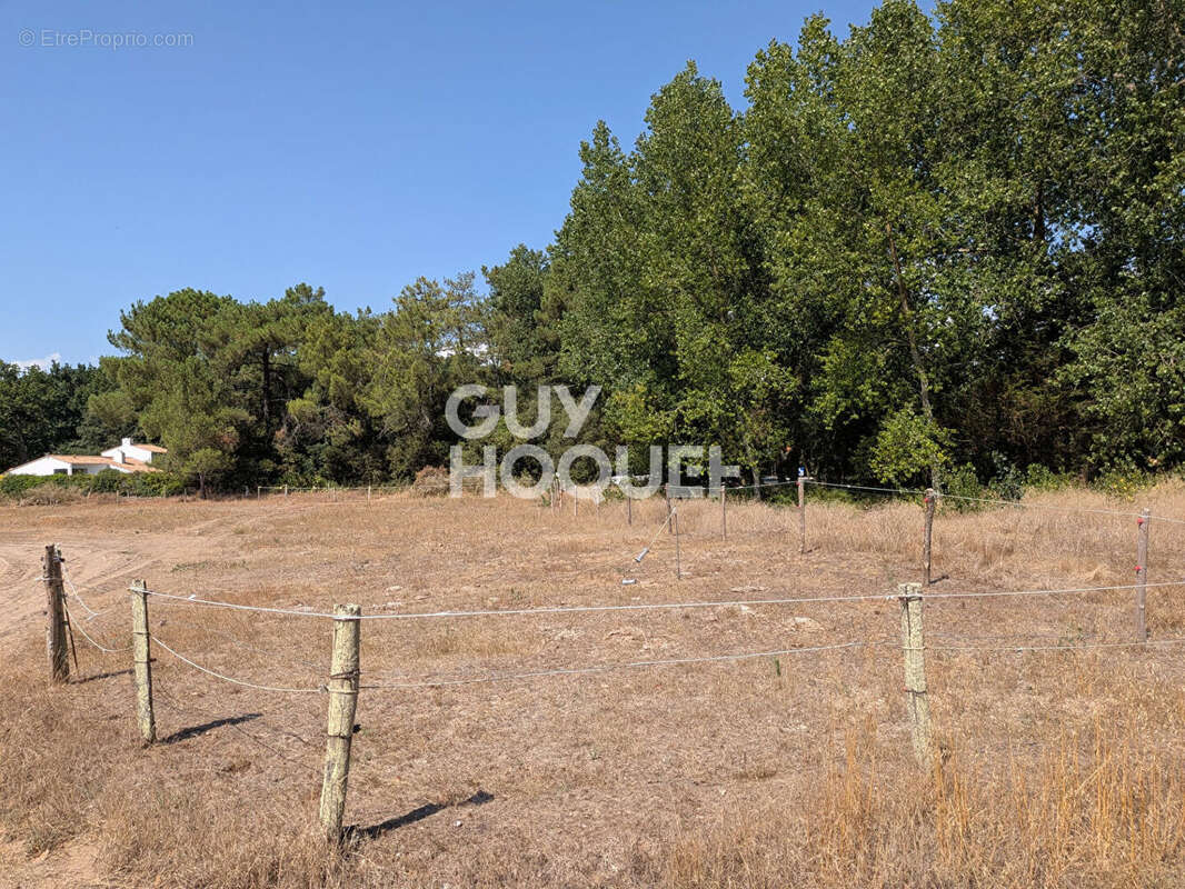 Terrain Saint Hilaire De Riez 1271 m2 - photo 2