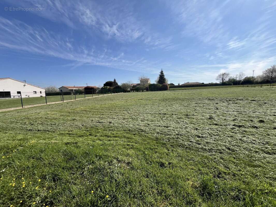 Terrain 1774 m² à Saint-Adjutory  - photo 2