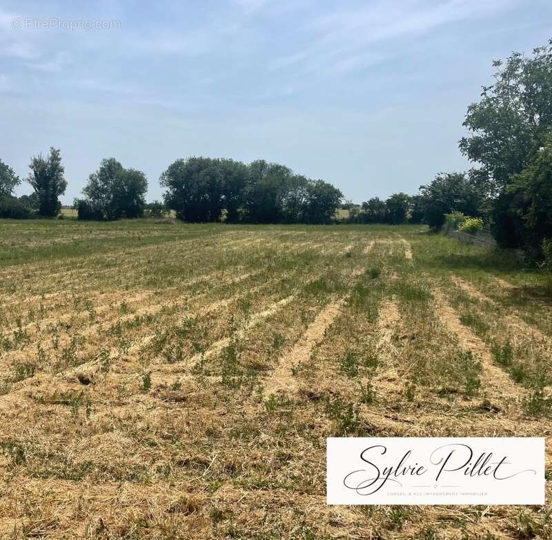 Terrain à vendre  sainte radegonde des noyers (85) - photo 2