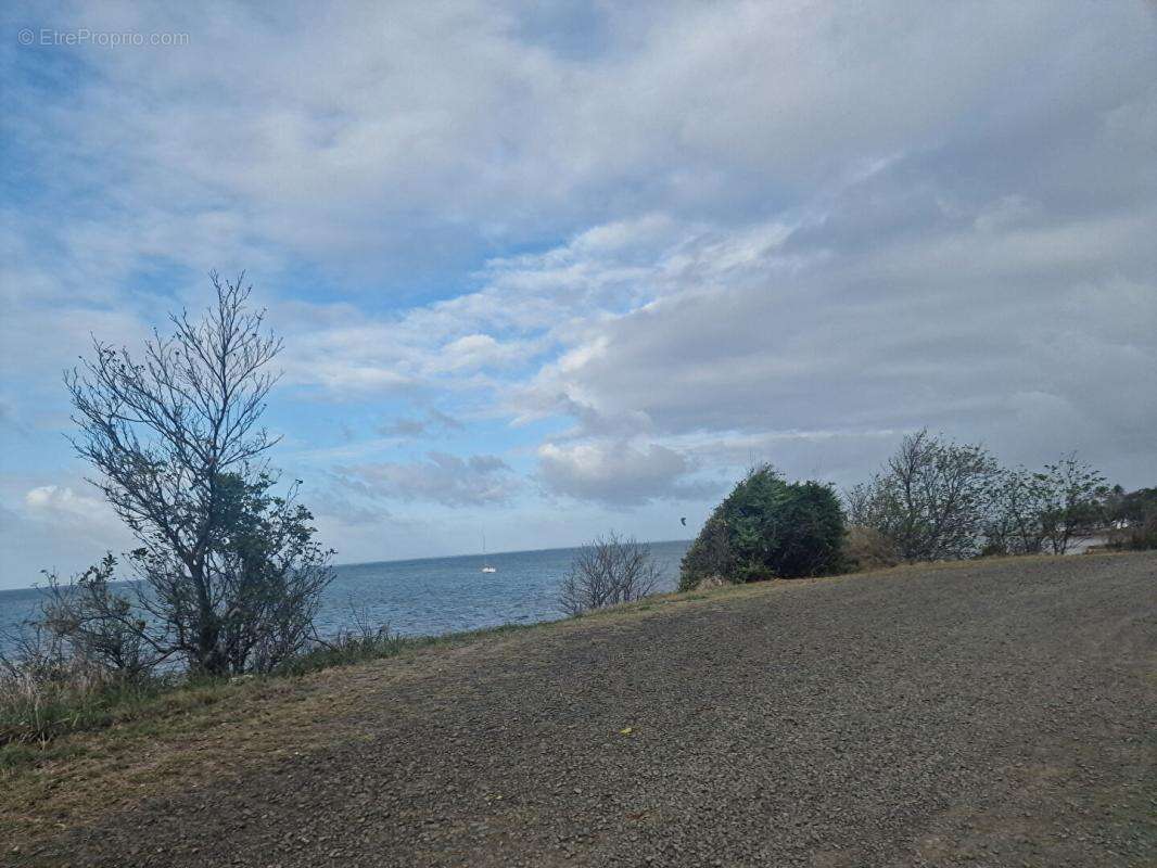 Terrain Le Vauclin 1820 m2 a quelques minutes a pied de la plage de Pointe Faula - photo 6