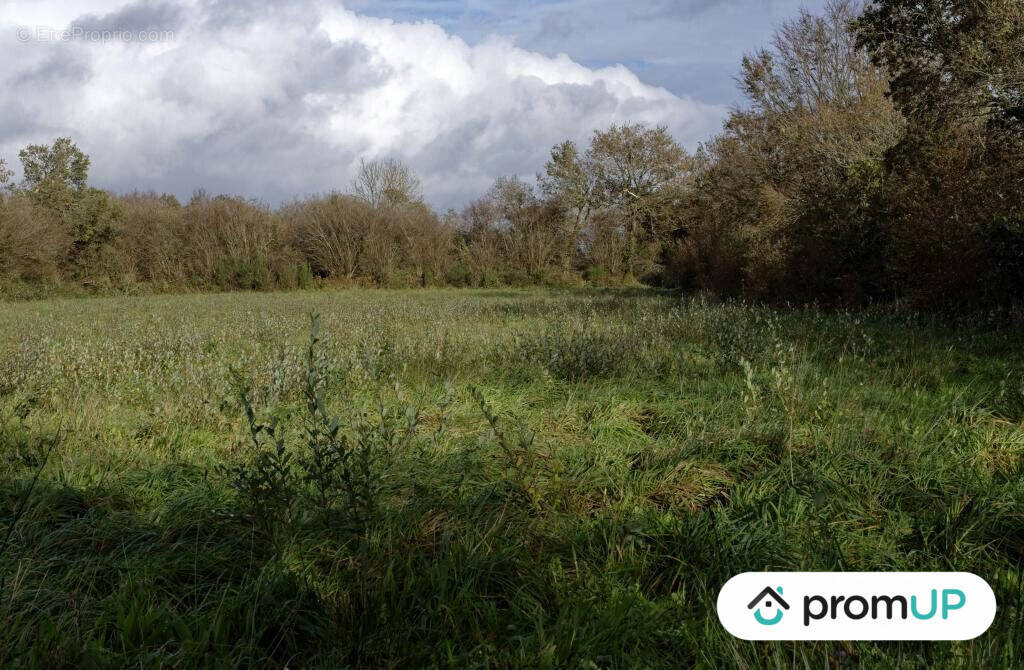 Terrain à LOQUEFFRET