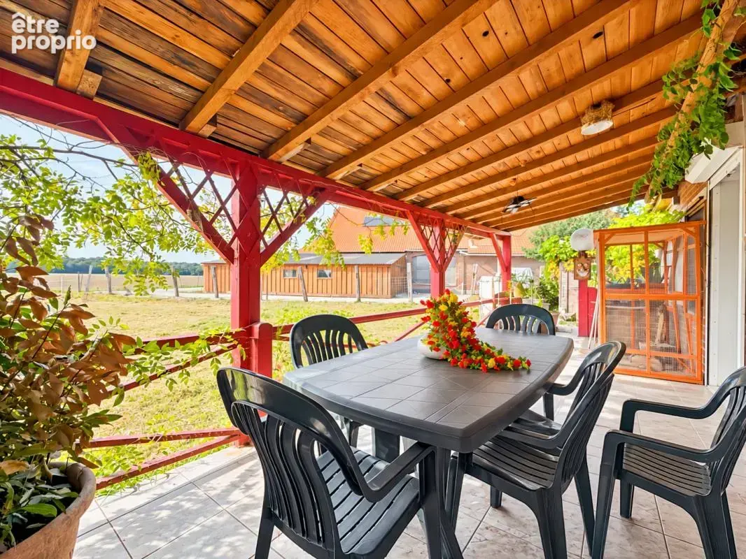 Longère de 140 m² avec vue sur la forêt de nieppe - 3 chambres - vie de plain-pied - terrasse avec pergola - merville - photo 9