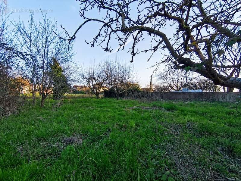 Terrain à VEIGY-FONCENEX