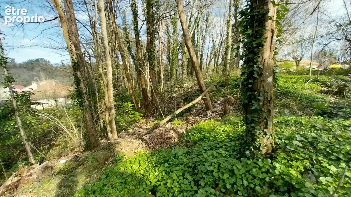 Terrain constructible Boisé 2500 m2 à CHANCELADE - photo 2