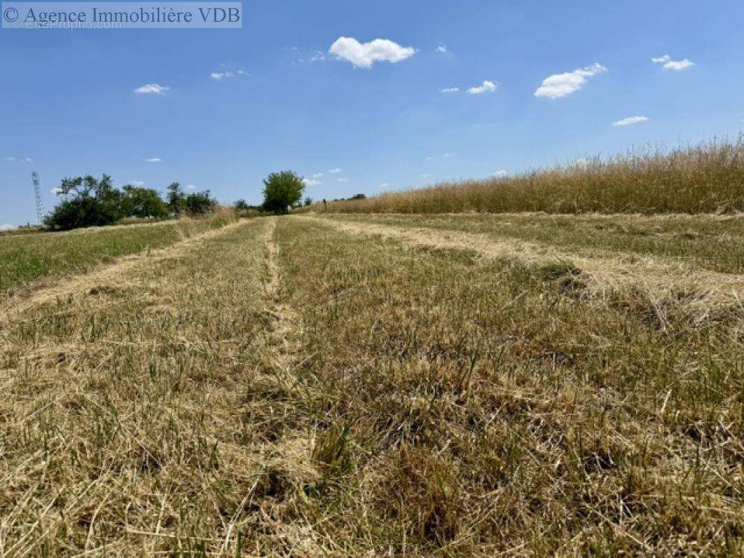 Terrain de 1024 m²  m² - photo 6
