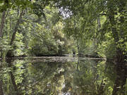 Terrain à SAINTE-CEROTTE