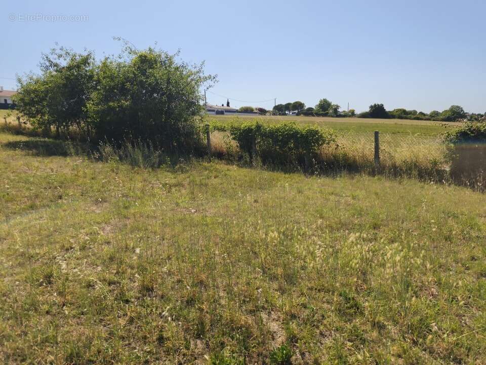Terrain 400 m² à Arvert  - photo 2