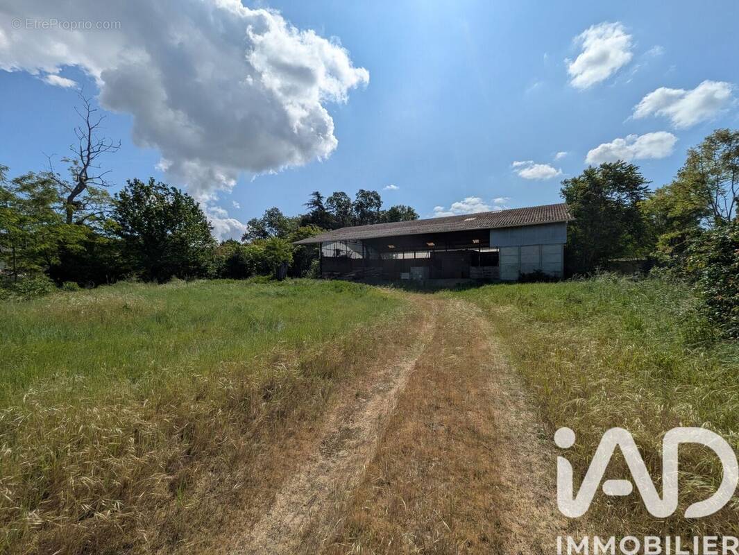 Photo 1 - Appartement à SAVIGNY-EN-VERON