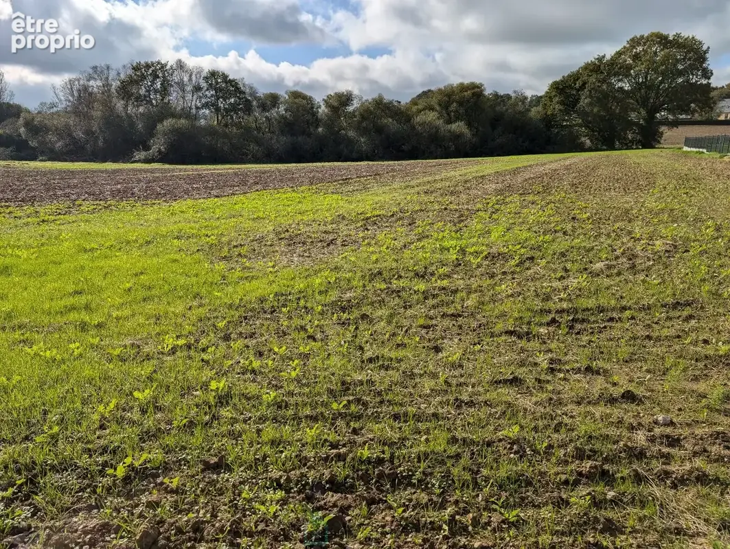 Longère en pierre avec dépendances sur 5 hectares  Charme et potentiel à la campagne - photo 7