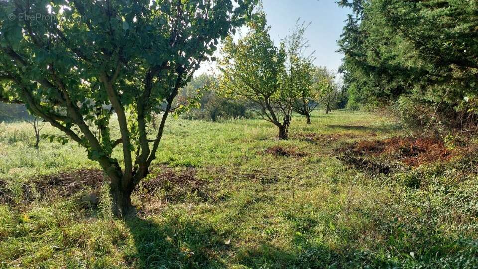 Terrain 449 m² à Senas  - photo 4