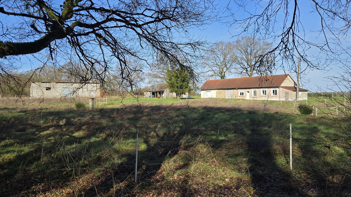 Maison à VIERZON