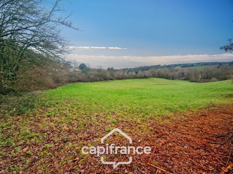 Terrain à SAINT-CAPRAIS-DE-LERM