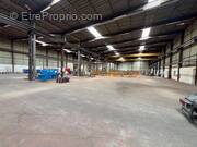 Commerce à CASTELCULIER