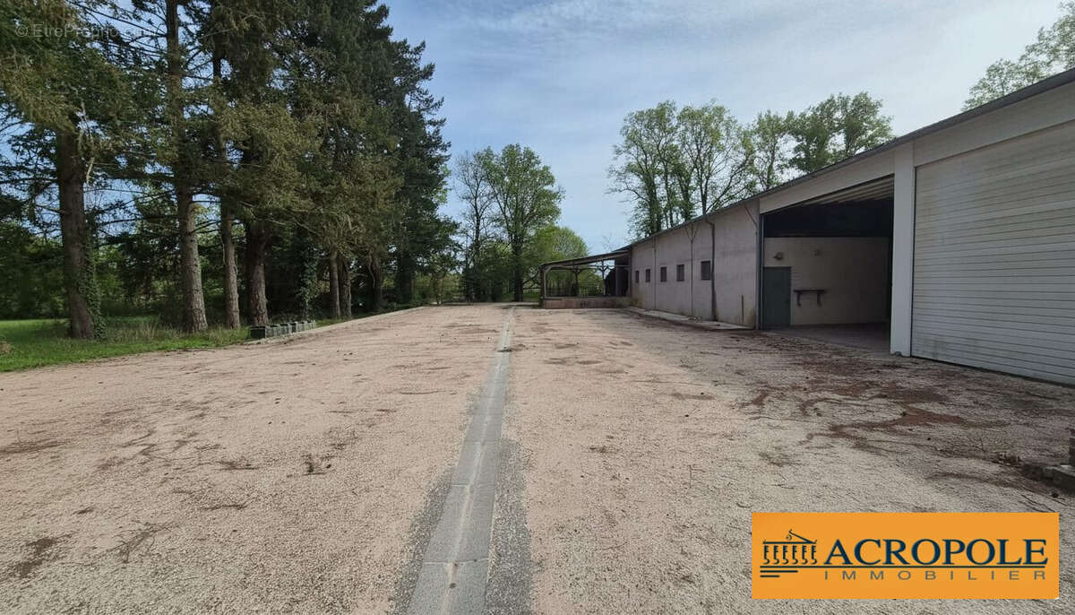 Appartement à COULLONS