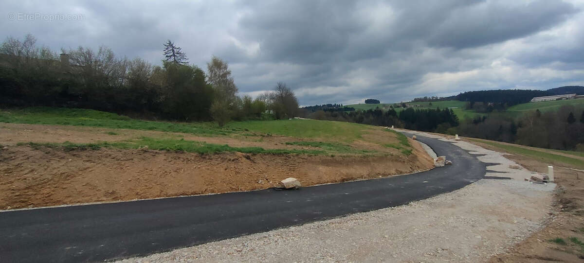 Terrain à SAINT-ROMAIN-LES-ATHEUX