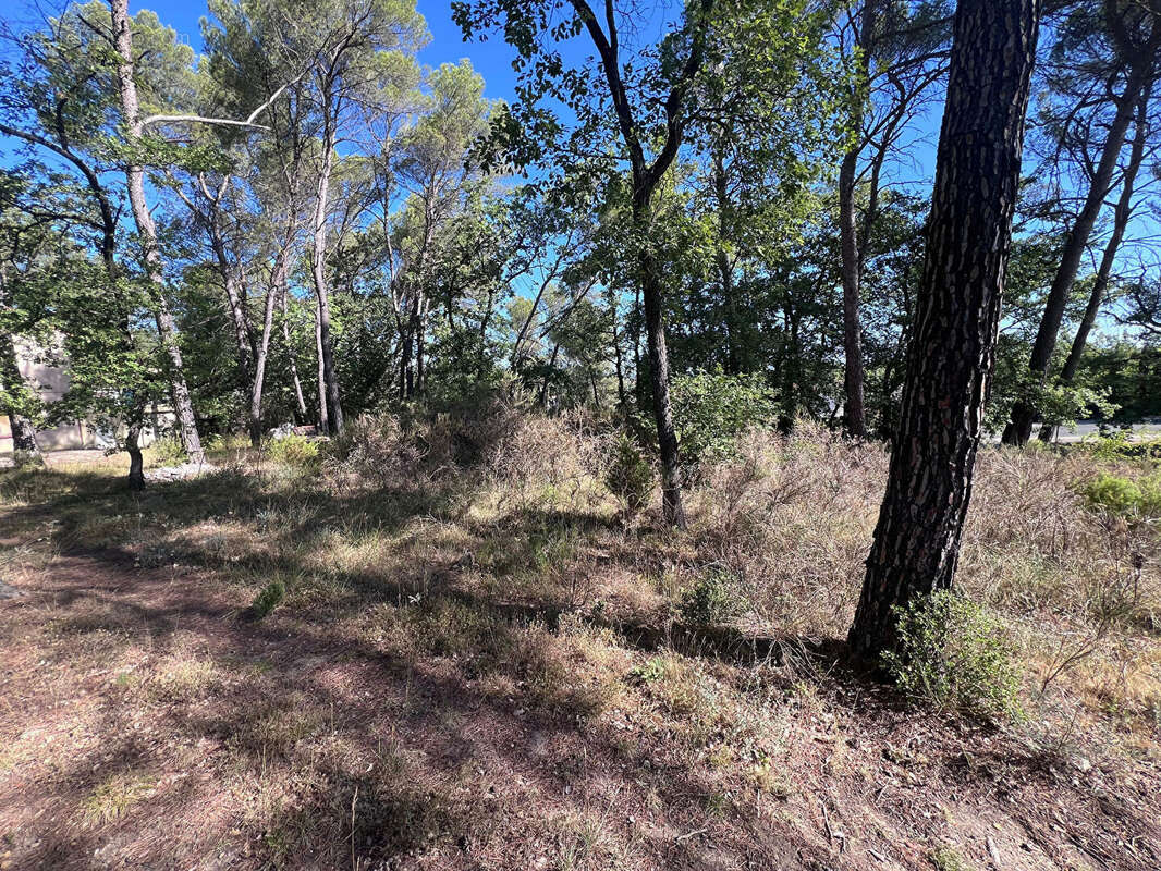 Terrain à GREASQUE