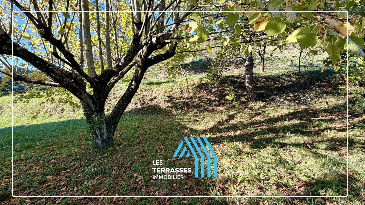 Maison à ROCHEMAURE