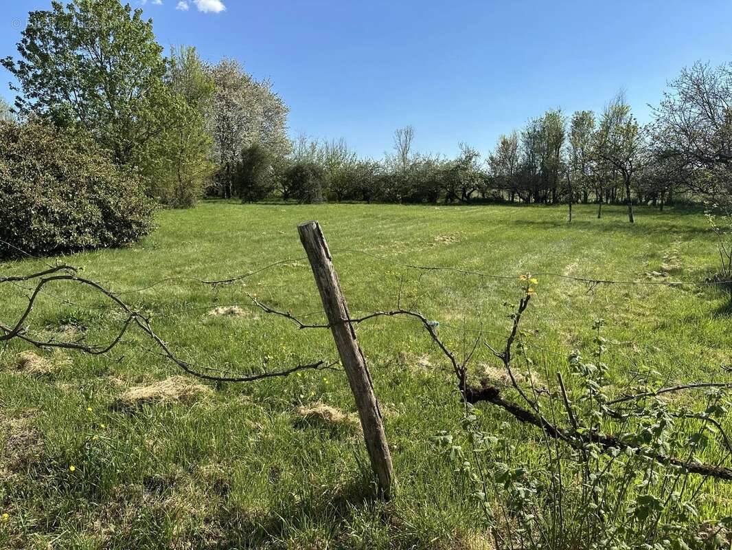 Terrain à SAINT-MAURICE-LA-CLOUERE