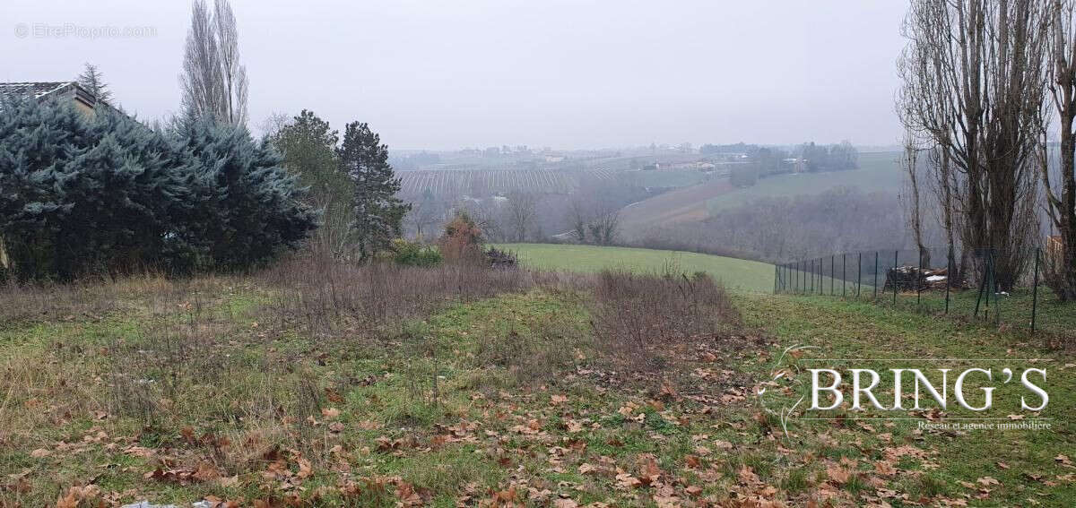 Terrain à MOISSAC