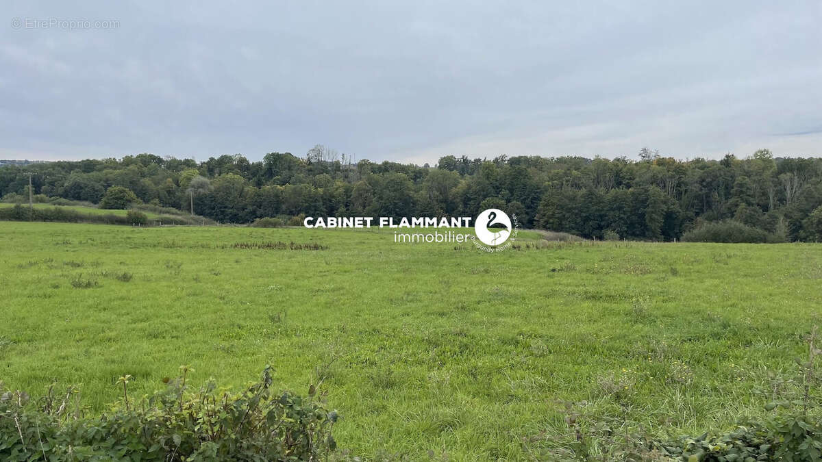 Terrain à SEMUR-EN-AUXOIS