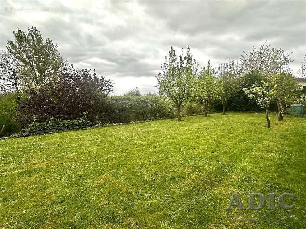 Maison à DAMMARTIN-EN-GOELE