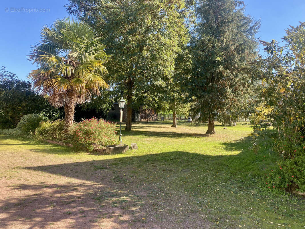 Maison à LA BREILLE-LES-PINS