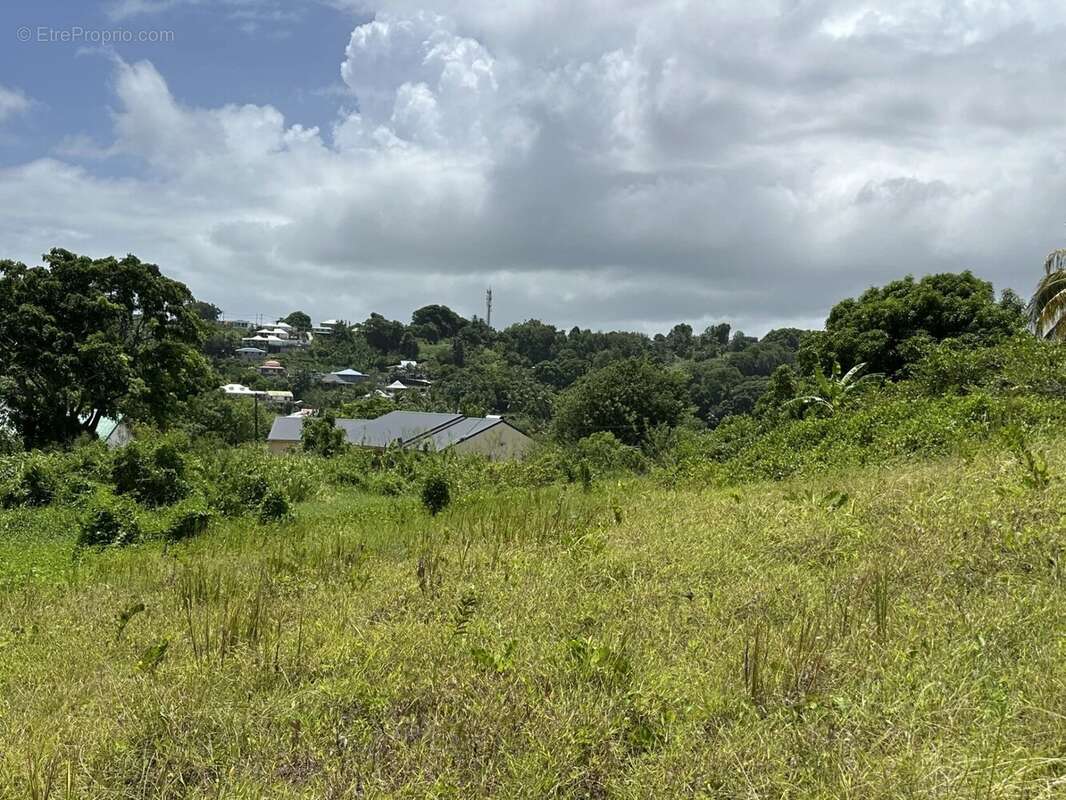 Terrain à PETIT-BOURG