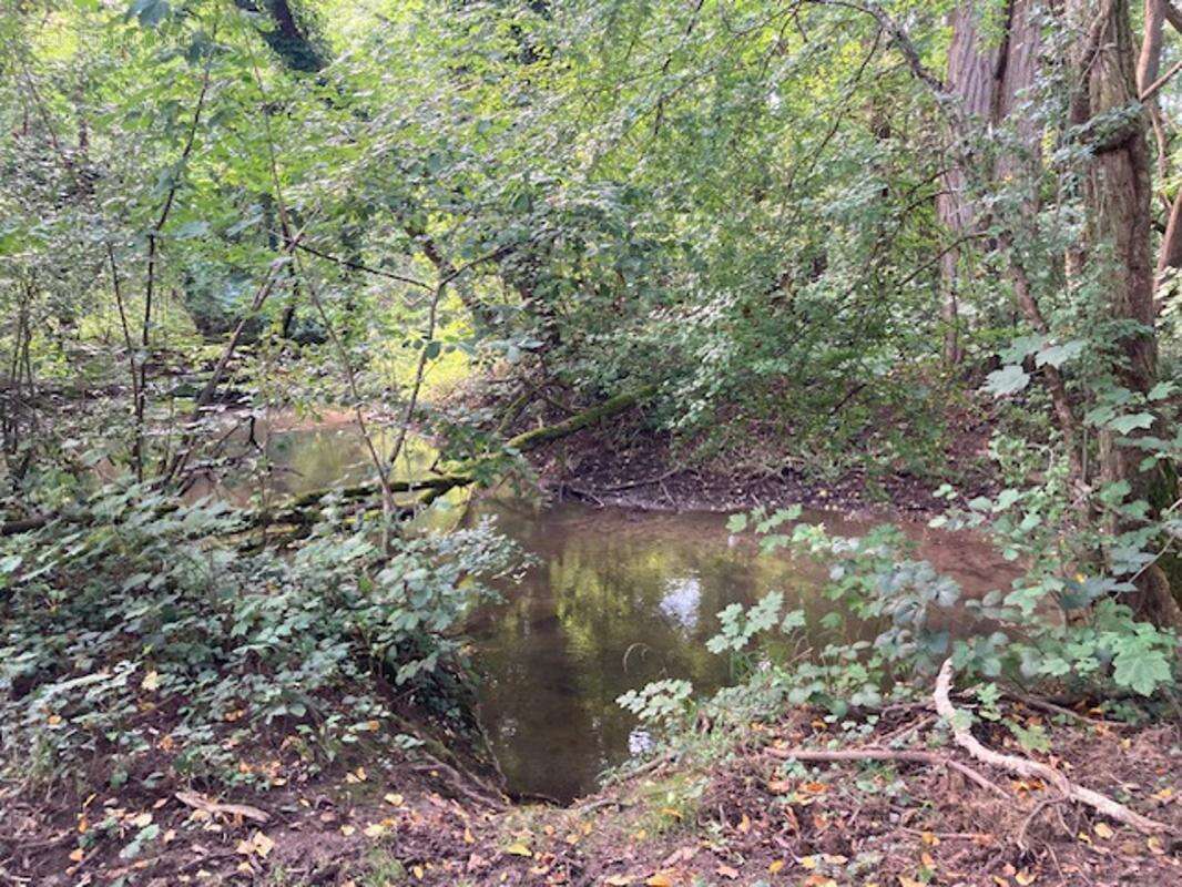 Domaine Forestier et chasse privée à vendre - photo 10