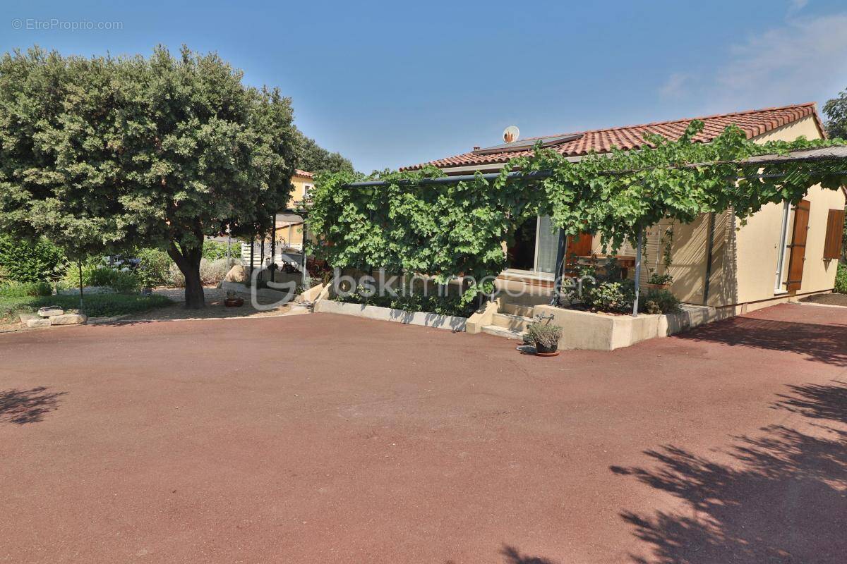 Maison à MONTFRIN