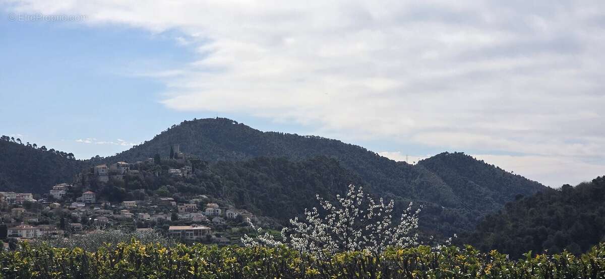 Maison à TOURRETTE-LEVENS