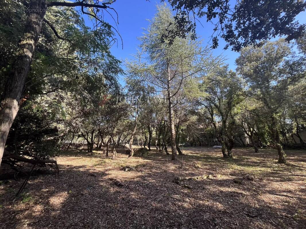 Terrain à CABRIERES-D'AVIGNON